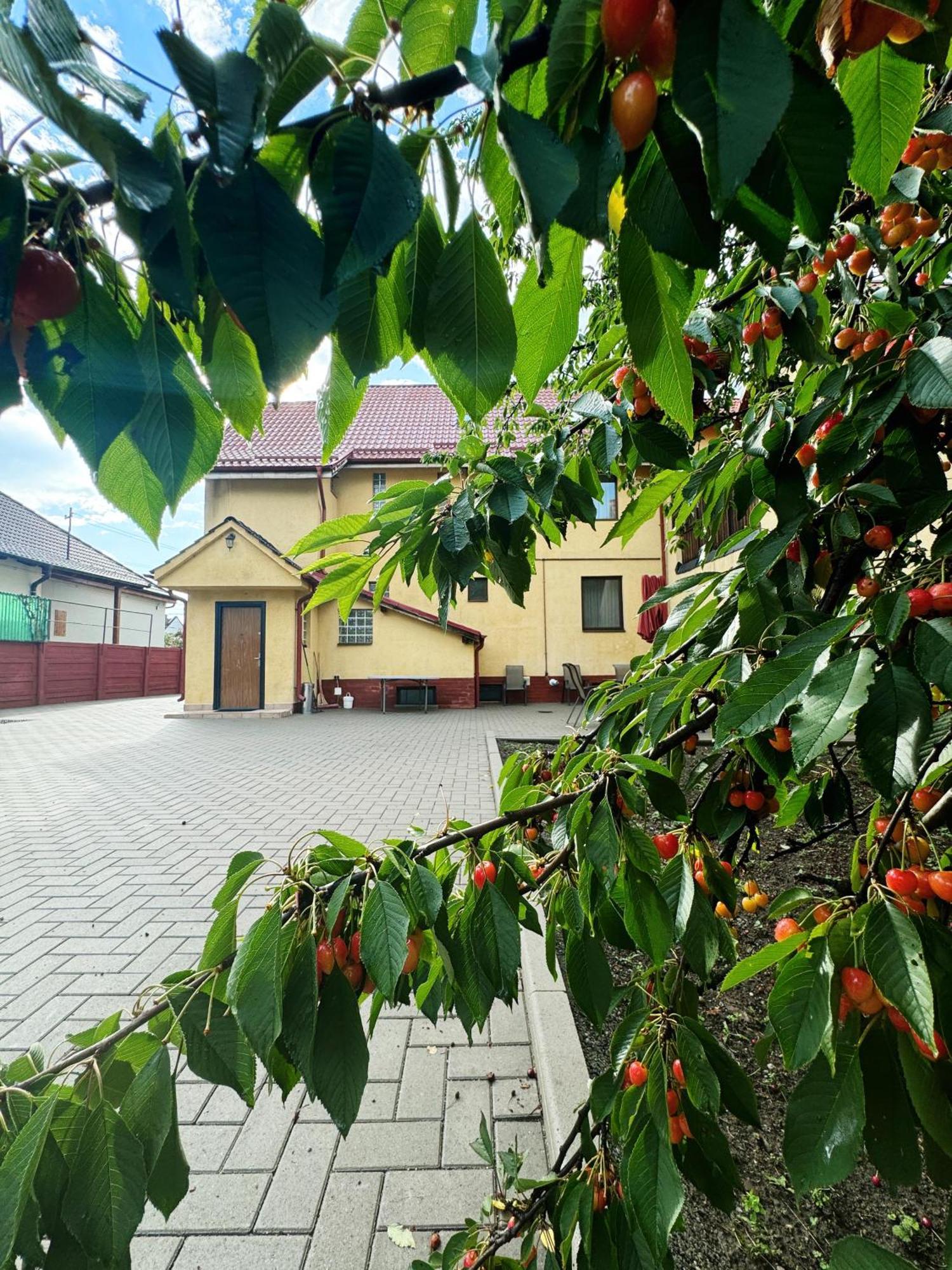 Hotel Carpathian Newstar Hermannstadt Exterior foto