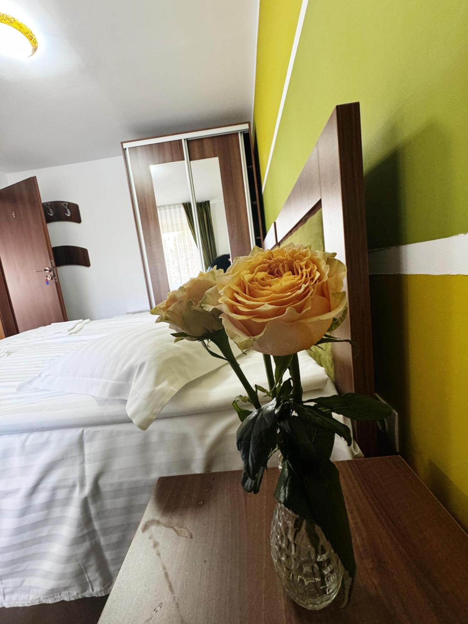 Hotel Carpathian Newstar Hermannstadt Exterior foto